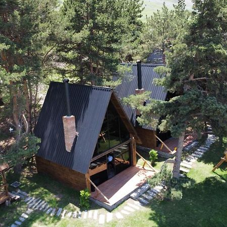 Villa Elia Loft Kazbegi Esterno foto